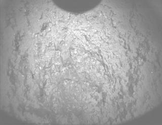 View image taken on Mars, Mars Perseverance Sol 1282: PIXL Camera 