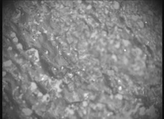 View image taken on Mars, Mars Perseverance Sol 1282: SHERLOC ACI Camera 