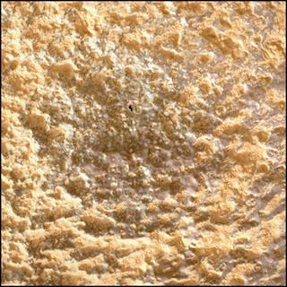 View image taken on Mars, Mars Perseverance Sol 1282: WATSON Camera 