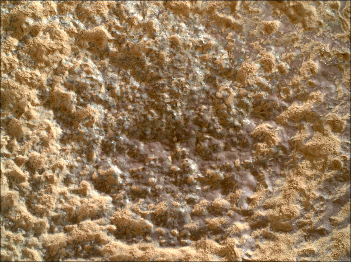 This image was taken by SHERLOC_WATSON onboard NASA's Mars rover Perseverance on Sol 1282