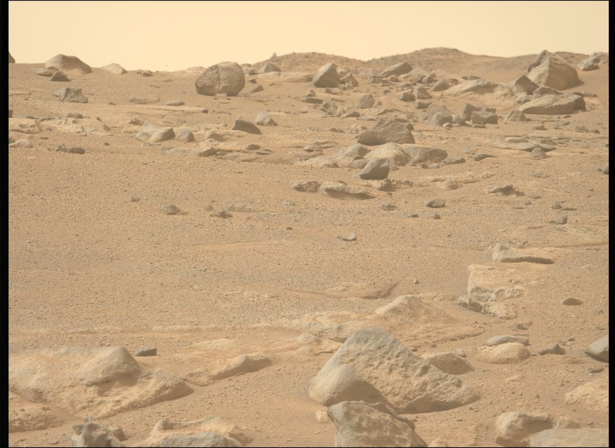 This image was taken by MCZ_LEFT onboard NASA's Mars rover Perseverance on Sol 1282