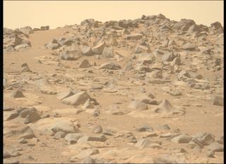 View image taken on Mars, Mars Perseverance Sol 1282: Left Mastcam-Z Camera