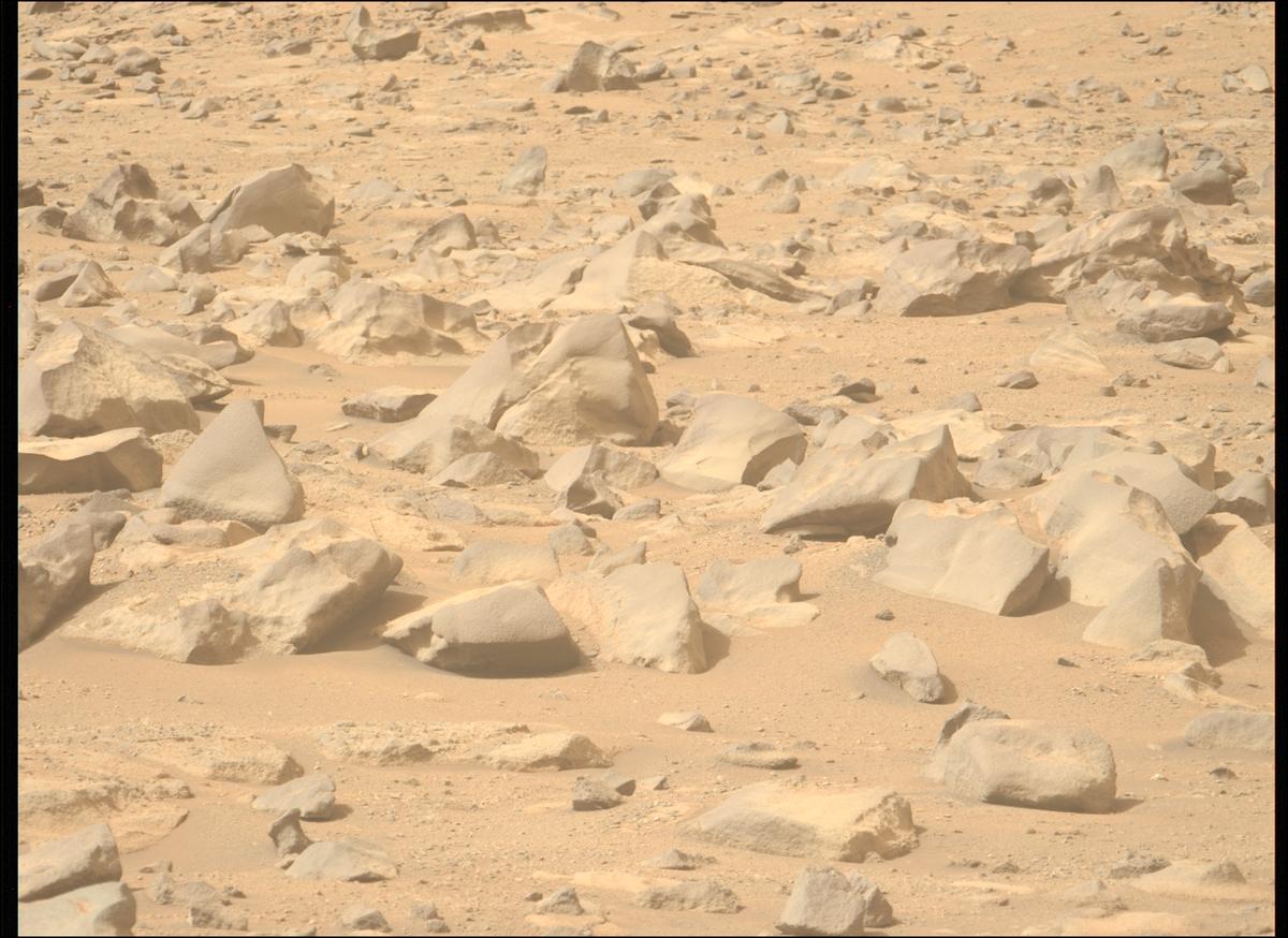 This image was taken by MCZ_LEFT onboard NASA's Mars rover Perseverance on Sol 1282