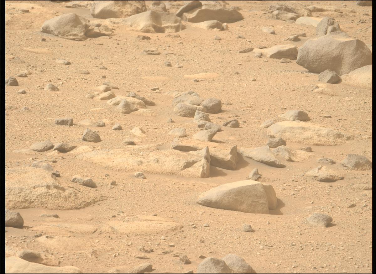 This image was taken by MCZ_LEFT onboard NASA's Mars rover Perseverance on Sol 1282