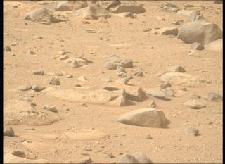 View image taken on Mars, Mars Perseverance Sol 1282: Left Mastcam-Z Camera
