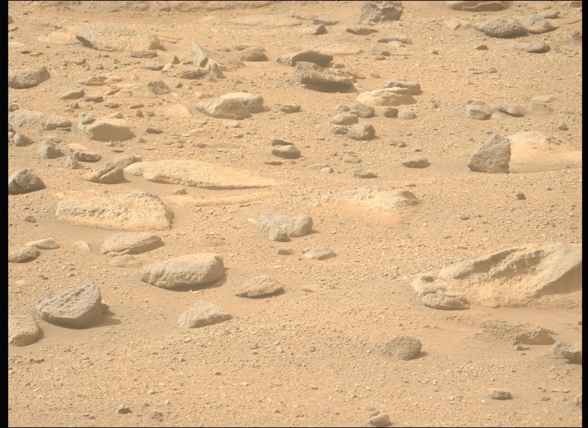 This image was taken by MCZ_LEFT onboard NASA's Mars rover Perseverance on Sol 1282