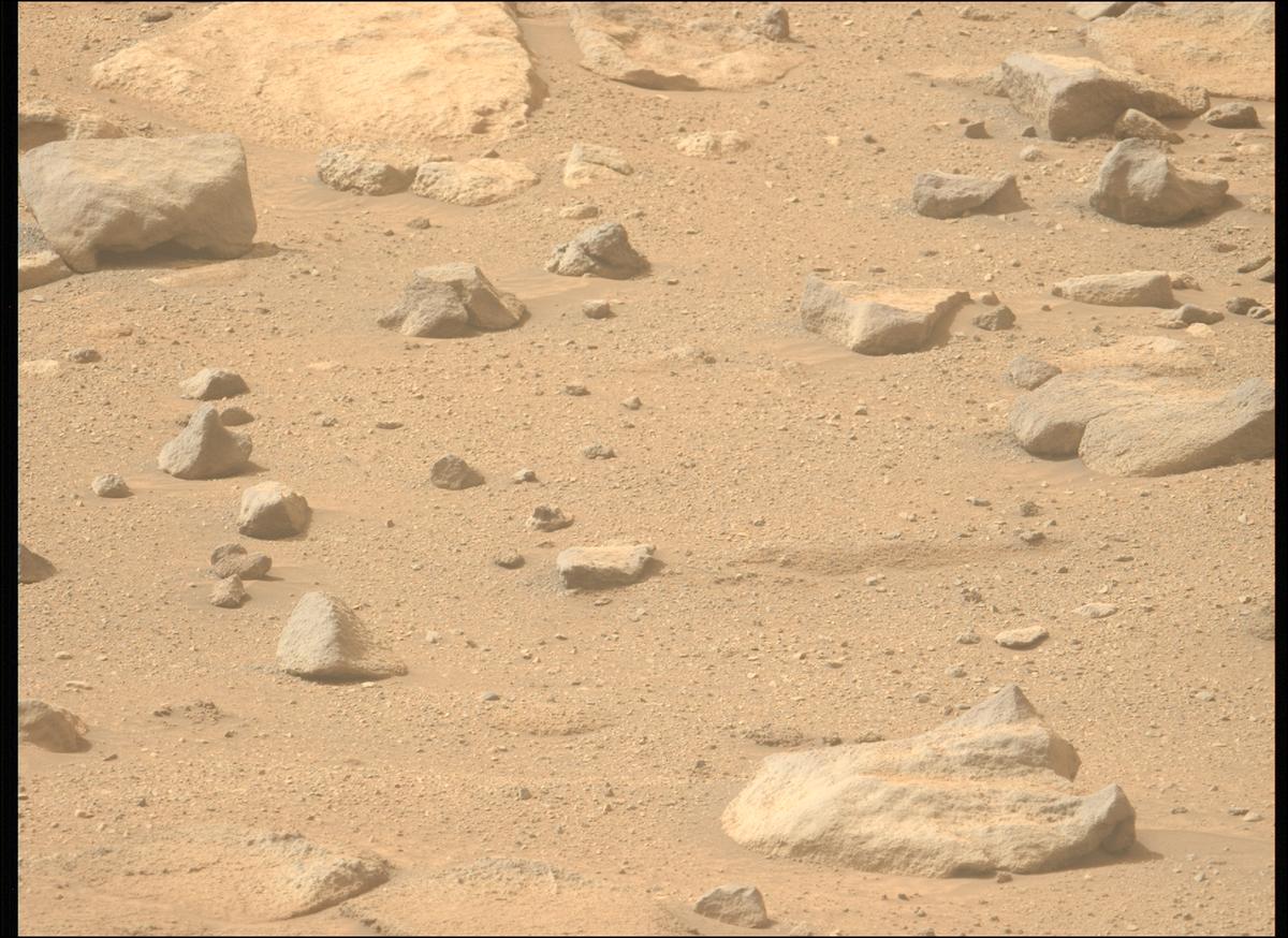 This image was taken by MCZ_LEFT onboard NASA's Mars rover Perseverance on Sol 1282