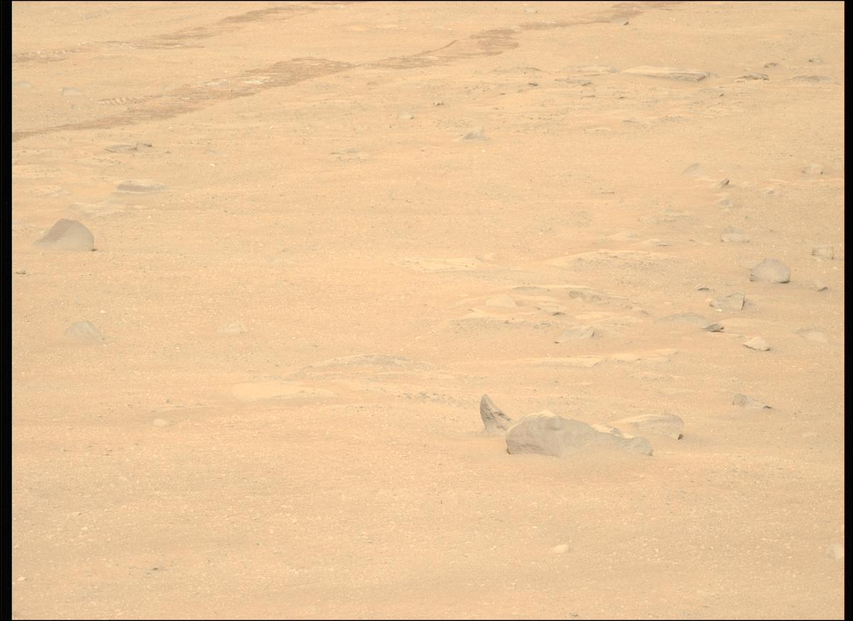 This image was taken by MCZ_LEFT onboard NASA's Mars rover Perseverance on Sol 1282