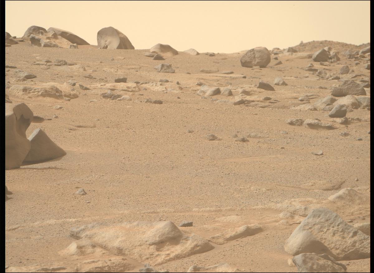 This image was taken by MCZ_RIGHT onboard NASA's Mars rover Perseverance on Sol 1282