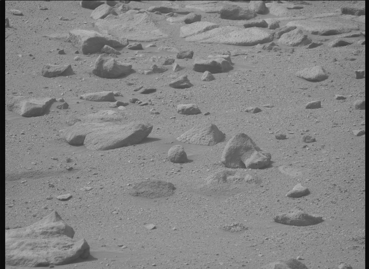 This image was taken by MCZ_RIGHT onboard NASA's Mars rover Perseverance on Sol 1282