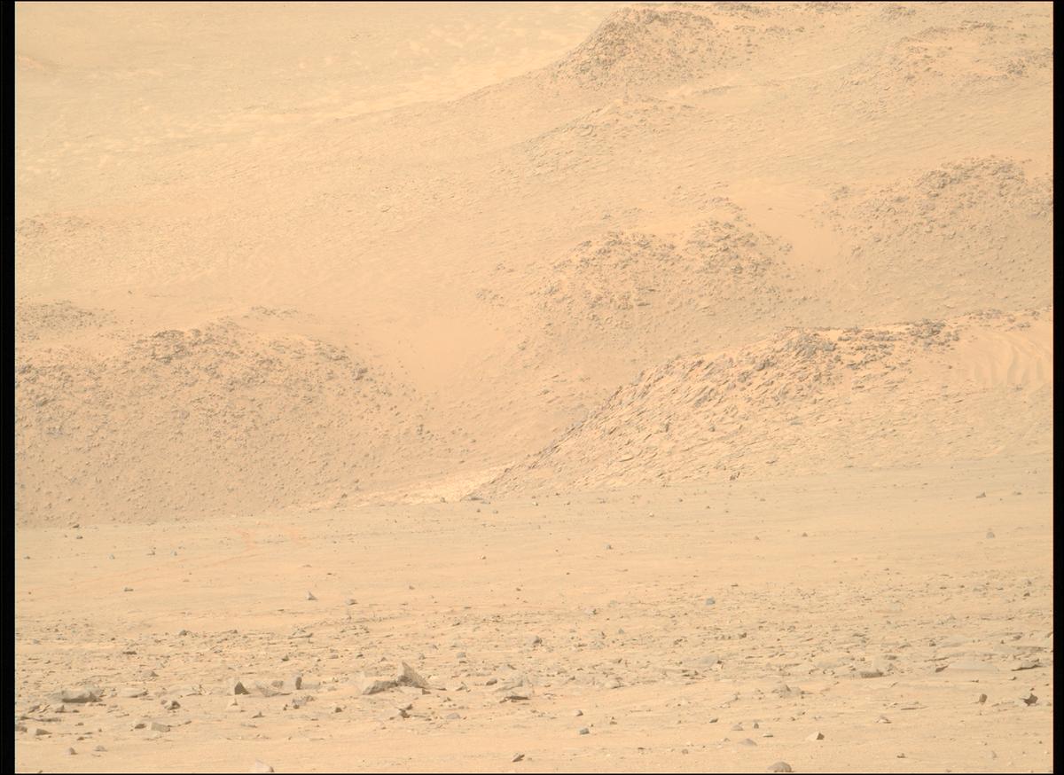 This image was taken by MCZ_RIGHT onboard NASA's Mars rover Perseverance on Sol 1282