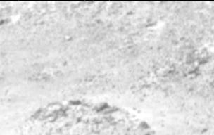 View image taken on Mars, Mars Perseverance Sol 1283: Right Mastcam-Z Camera