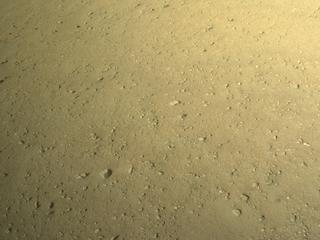 View image taken on Mars, Mars Perseverance Sol 1286: Left Navigation Camera (Navcam)