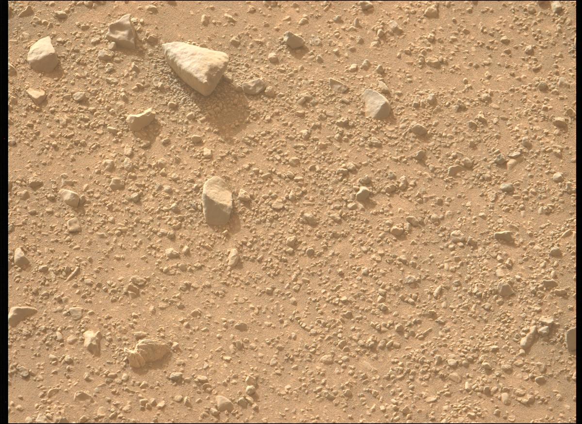 This image was taken by MCZ_LEFT onboard NASA's Mars rover Perseverance on Sol 1288