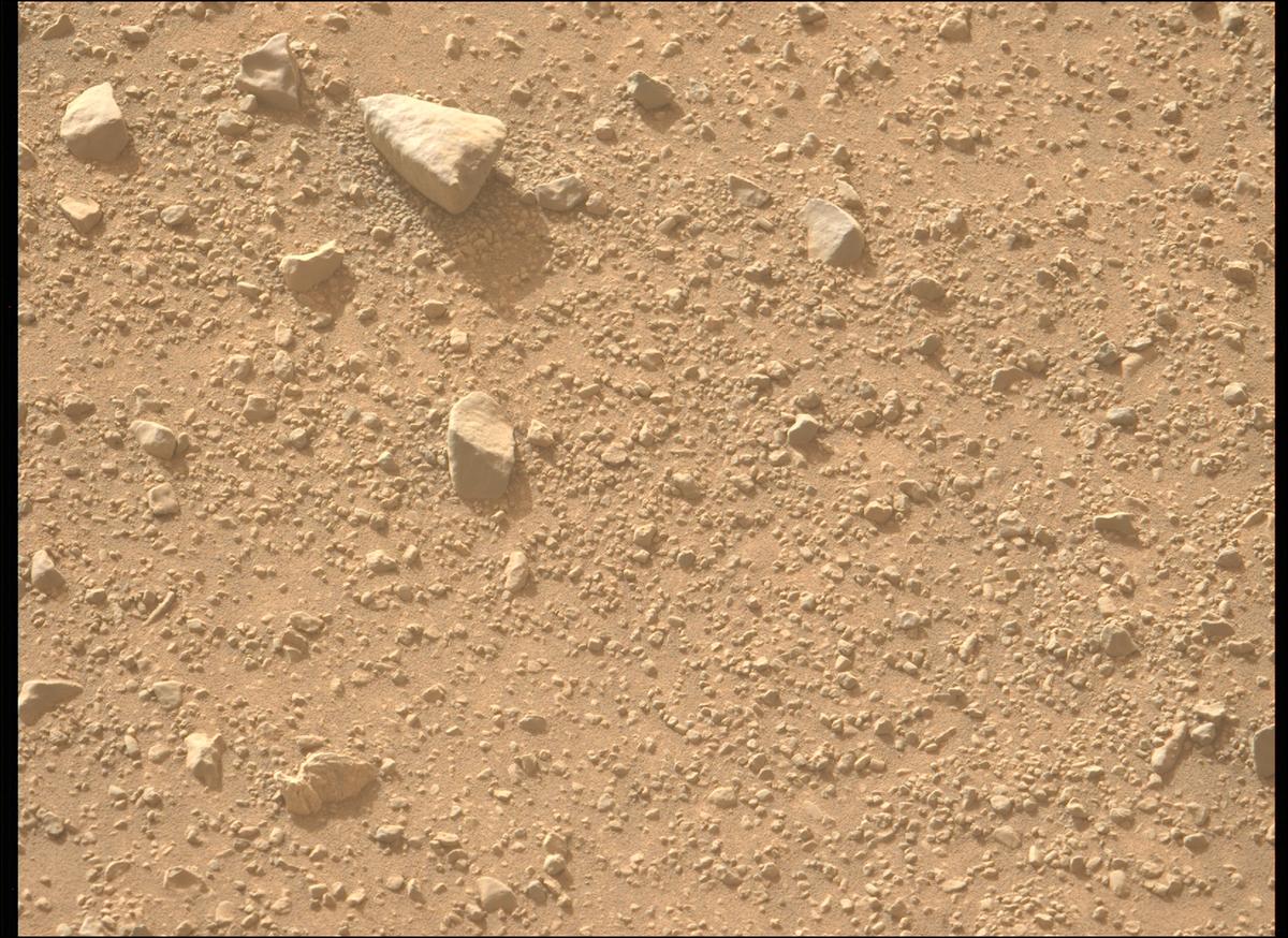This image was taken by MCZ_LEFT onboard NASA's Mars rover Perseverance on Sol 1290