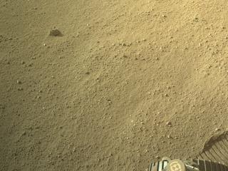 View image taken on Mars, Mars Perseverance Sol 1293: Left Navigation Camera (Navcam)