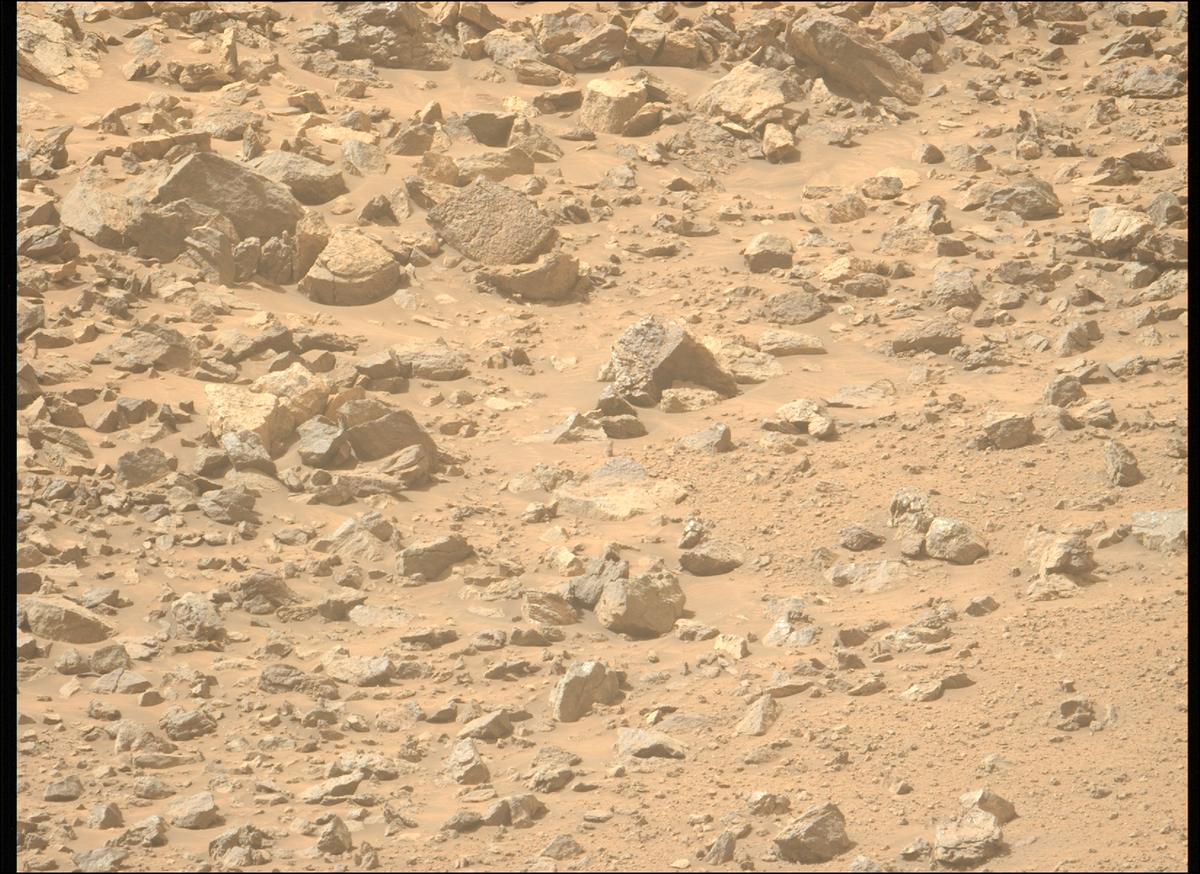 This image was taken by MCZ_LEFT onboard NASA's Mars rover Perseverance on Sol 1299