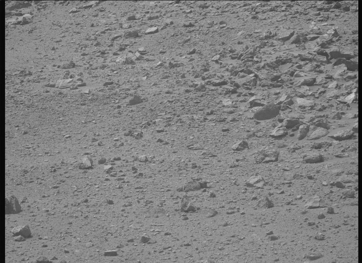 This image was taken by MCZ_LEFT onboard NASA's Mars rover Perseverance on Sol 1299