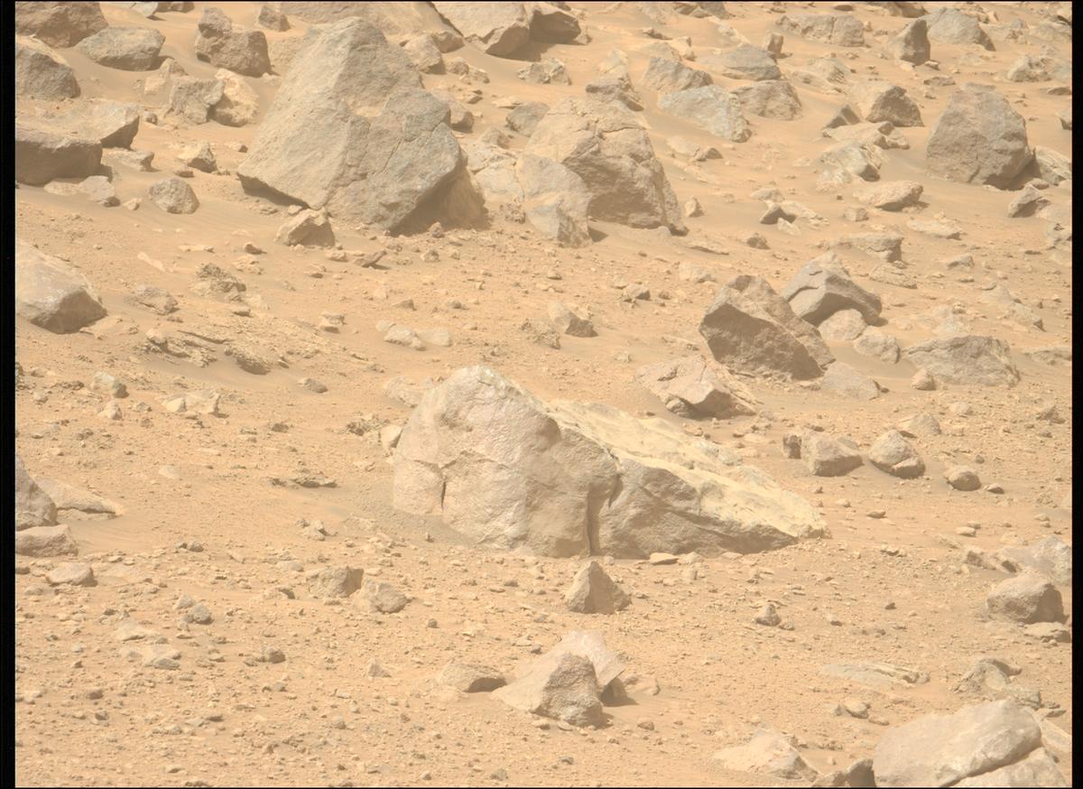 This image was taken by MCZ_LEFT onboard NASA's Mars rover Perseverance on Sol 1299