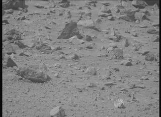 View image taken on Mars, Mars Perseverance Sol 1299: Left Mastcam-Z Camera
