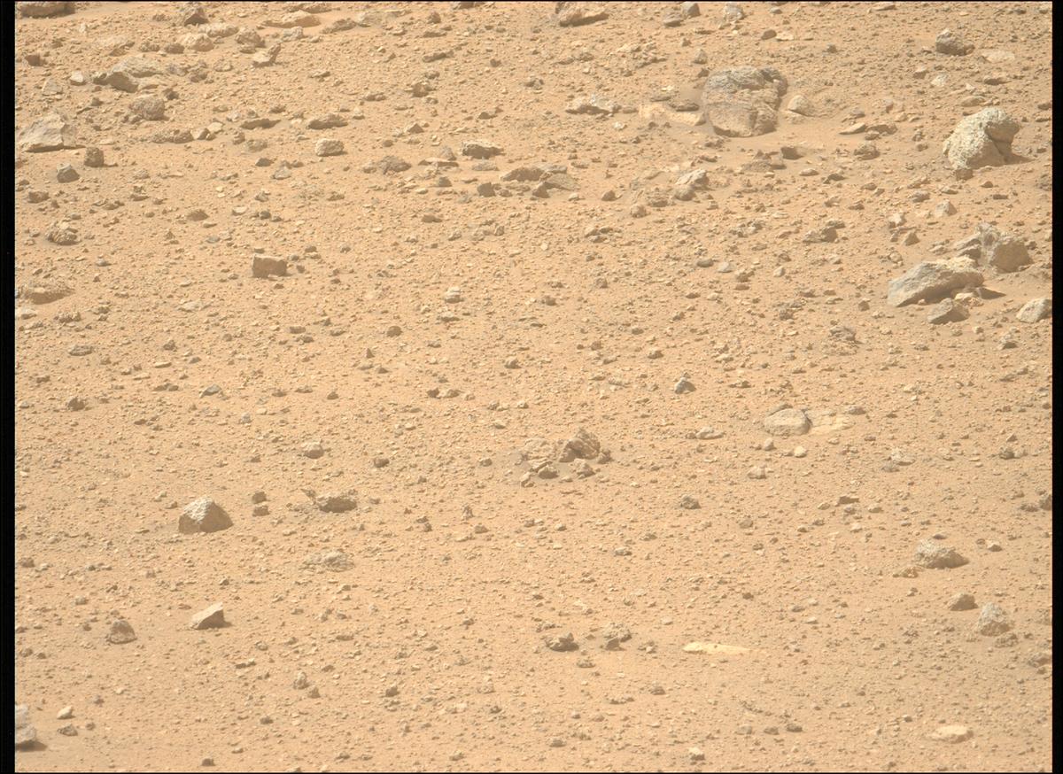 This image was taken by MCZ_LEFT onboard NASA's Mars rover Perseverance on Sol 1299