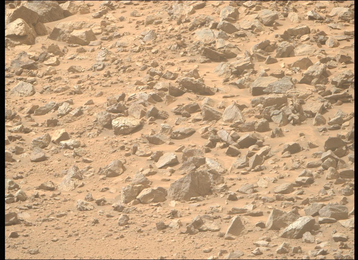This image was taken by MCZ_RIGHT onboard NASA's Mars rover Perseverance on Sol 1299