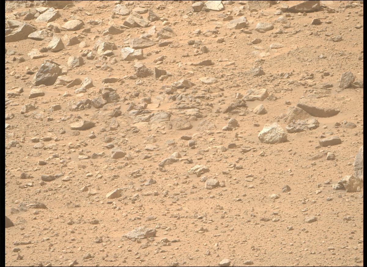 This image was taken by MCZ_RIGHT onboard NASA's Mars rover Perseverance on Sol 1299