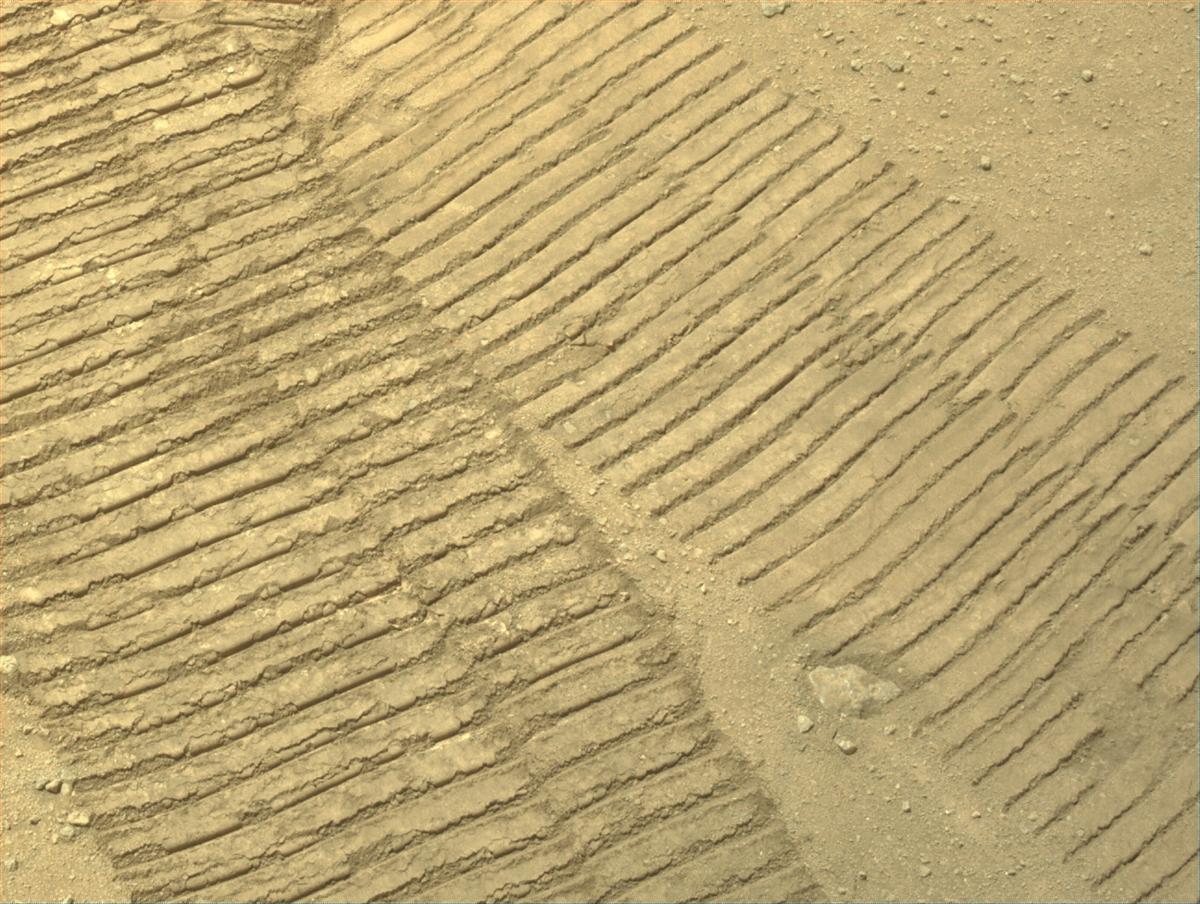 This image was taken by NAVCAM_LEFT onboard NASA's Mars rover Perseverance on Sol 1301