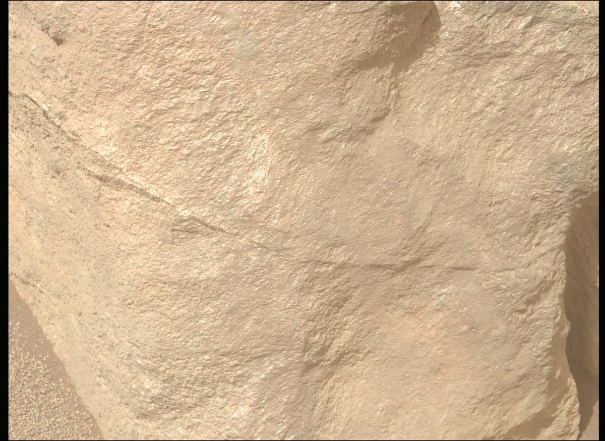 This image was taken by MCZ_LEFT onboard NASA's Mars rover Perseverance on Sol 1302