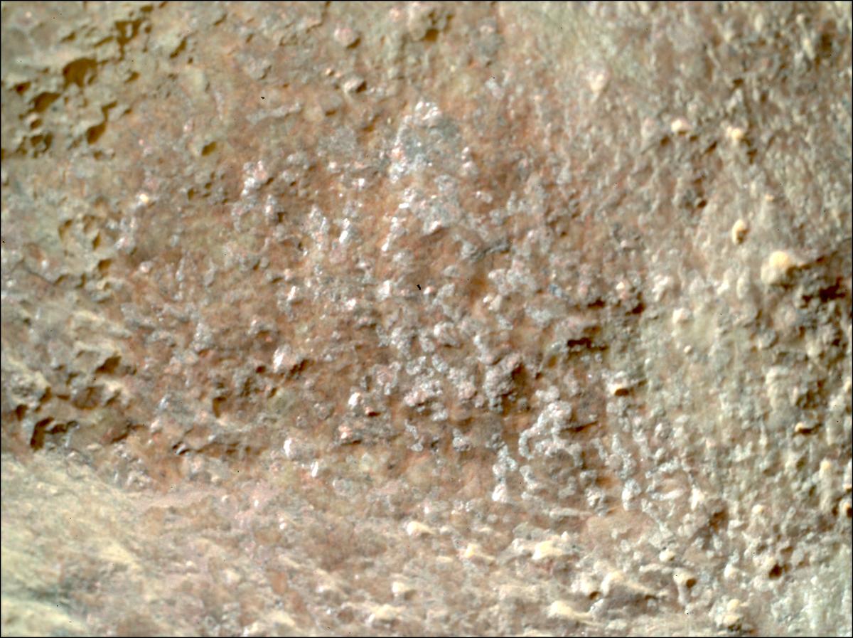 This image was taken by SHERLOC_WATSON onboard NASA's Mars rover Perseverance on Sol 1303
