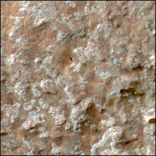 View image taken on Mars, Mars Perseverance Sol 1303: WATSON Camera 