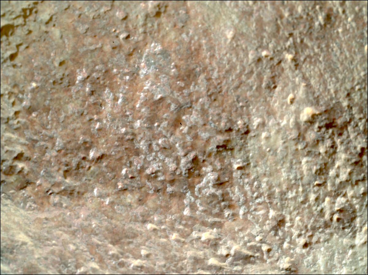 This image was taken by SHERLOC_WATSON onboard NASA's Mars rover Perseverance on Sol 1303