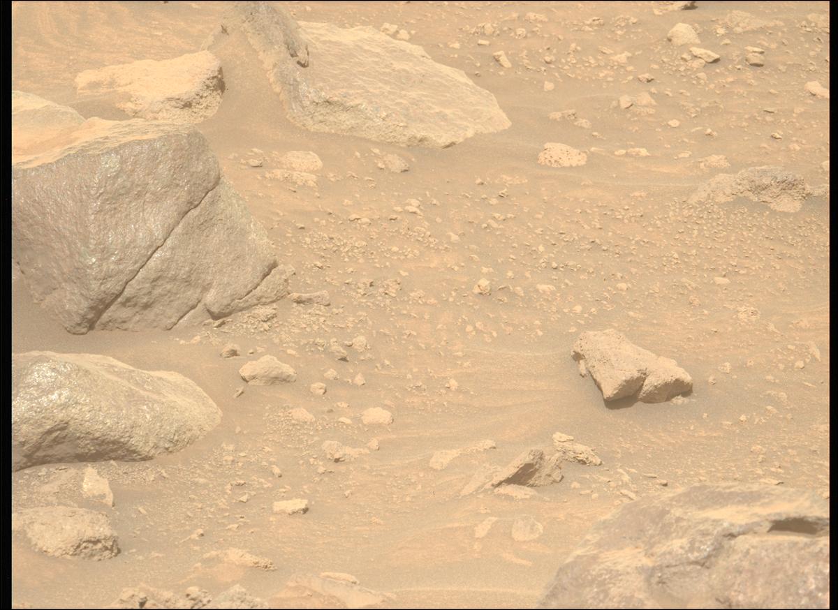 This image was taken by MCZ_LEFT onboard NASA's Mars rover Perseverance on Sol 1303