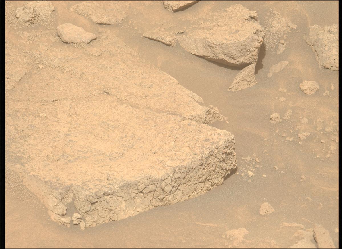 This image was taken by MCZ_LEFT onboard NASA's Mars rover Perseverance on Sol 1303