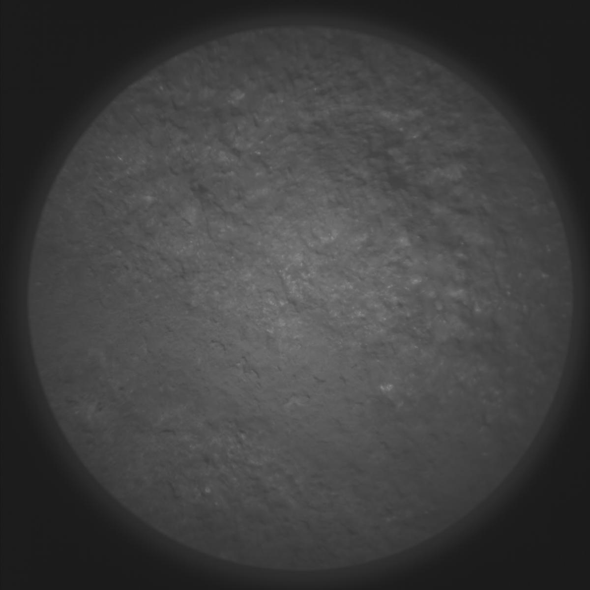 This image was taken by SUPERCAM_RMI onboard NASA's Mars rover Perseverance on Sol 1304