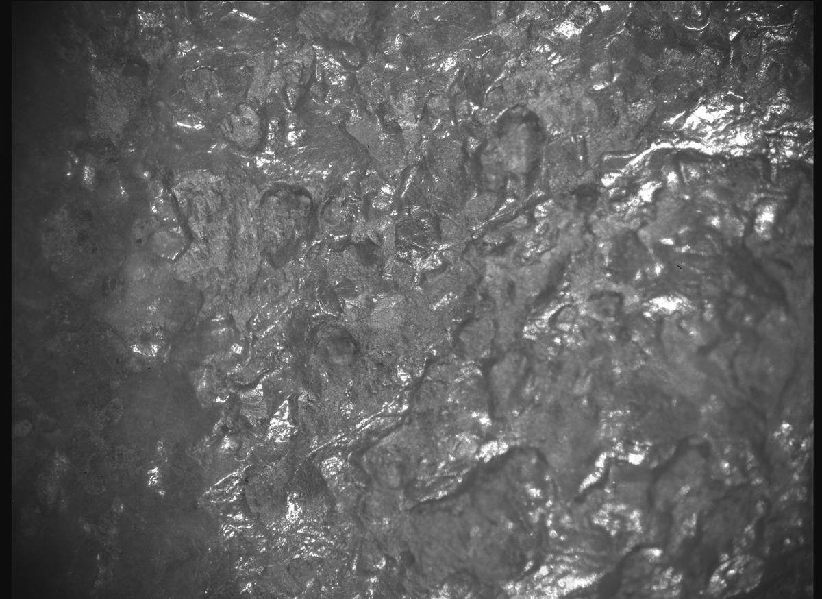 This image was taken by SHERLOC_ACI onboard NASA's Mars rover Perseverance on Sol 1304