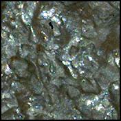 View image taken on Mars, Mars Perseverance Sol 1304: WATSON Camera 