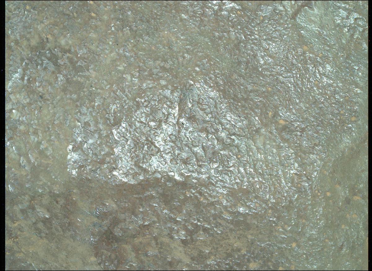 This image was taken by SHERLOC_WATSON onboard NASA's Mars rover Perseverance on Sol 1304