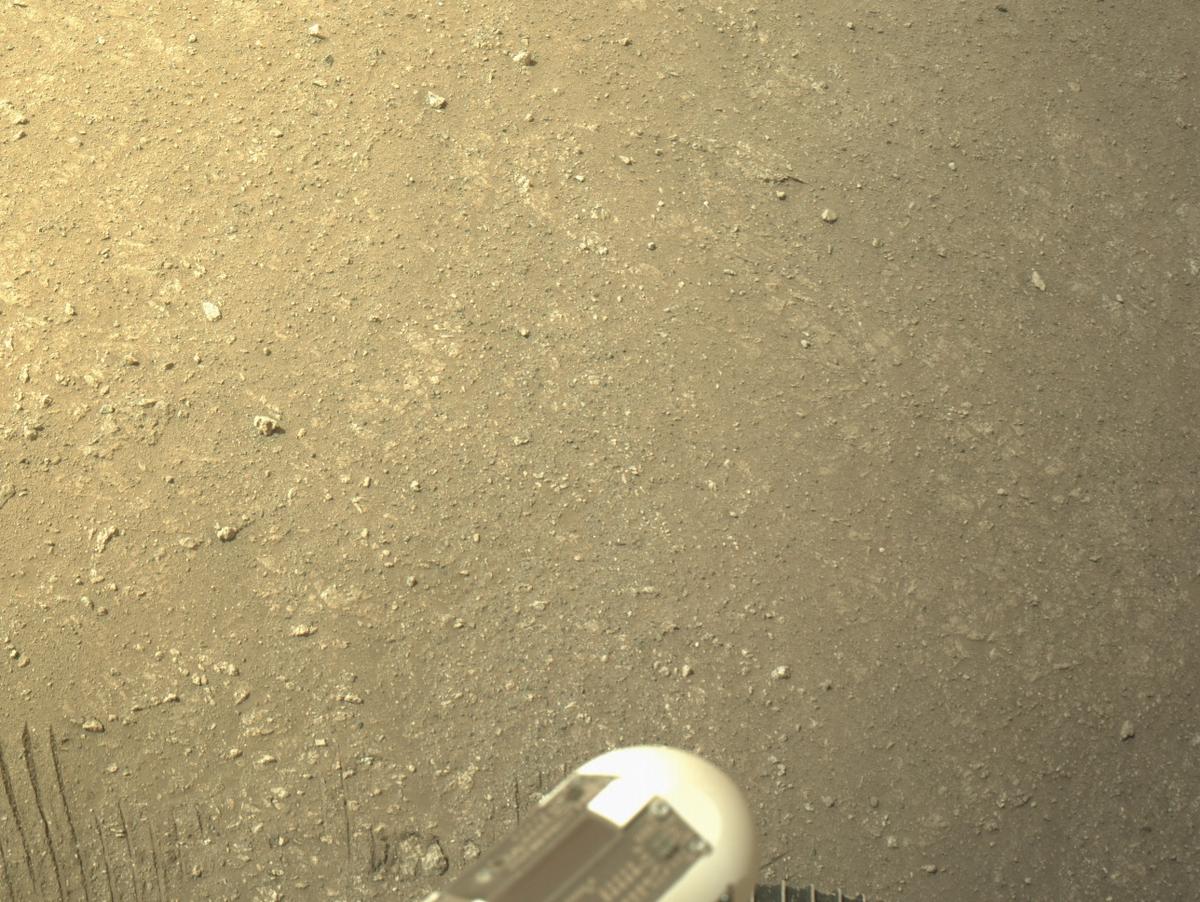 This image was taken by NAVCAM_RIGHT onboard NASA's Mars rover Perseverance on Sol 1305