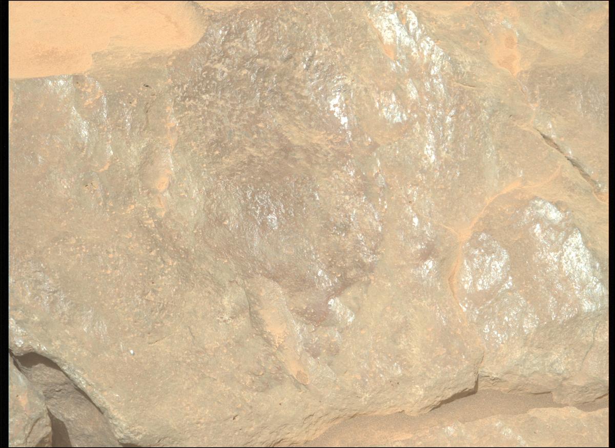 This image was taken by MCZ_LEFT onboard NASA's Mars rover Perseverance on Sol 1305