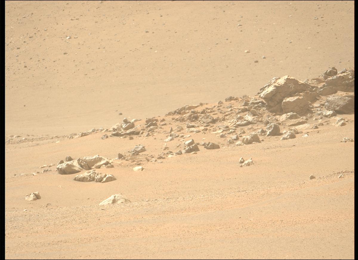 This image was taken by MCZ_LEFT onboard NASA's Mars rover Perseverance on Sol 1306