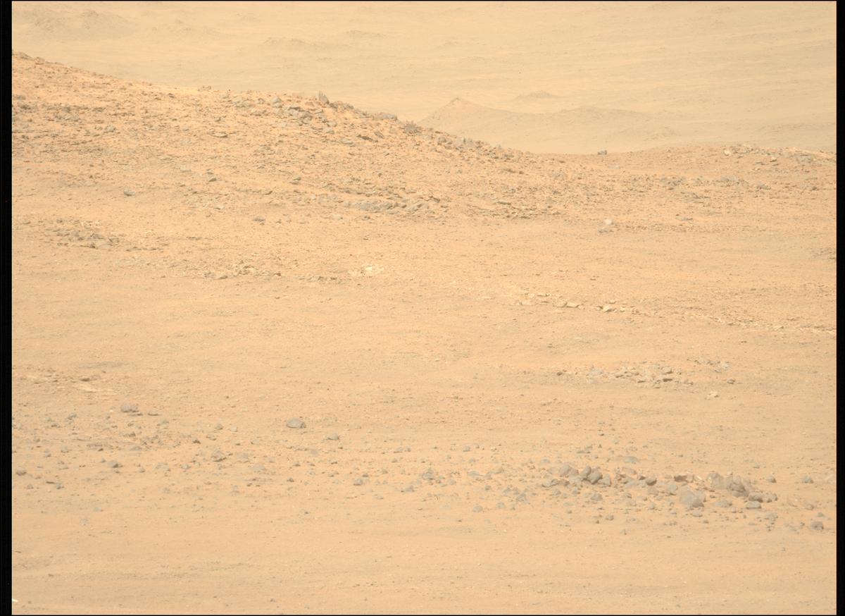 This image was taken by MCZ_LEFT onboard NASA's Mars rover Perseverance on Sol 1306