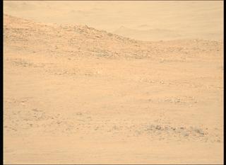 View image taken on Mars, Mars Perseverance Sol 1306: Left Mastcam-Z Camera