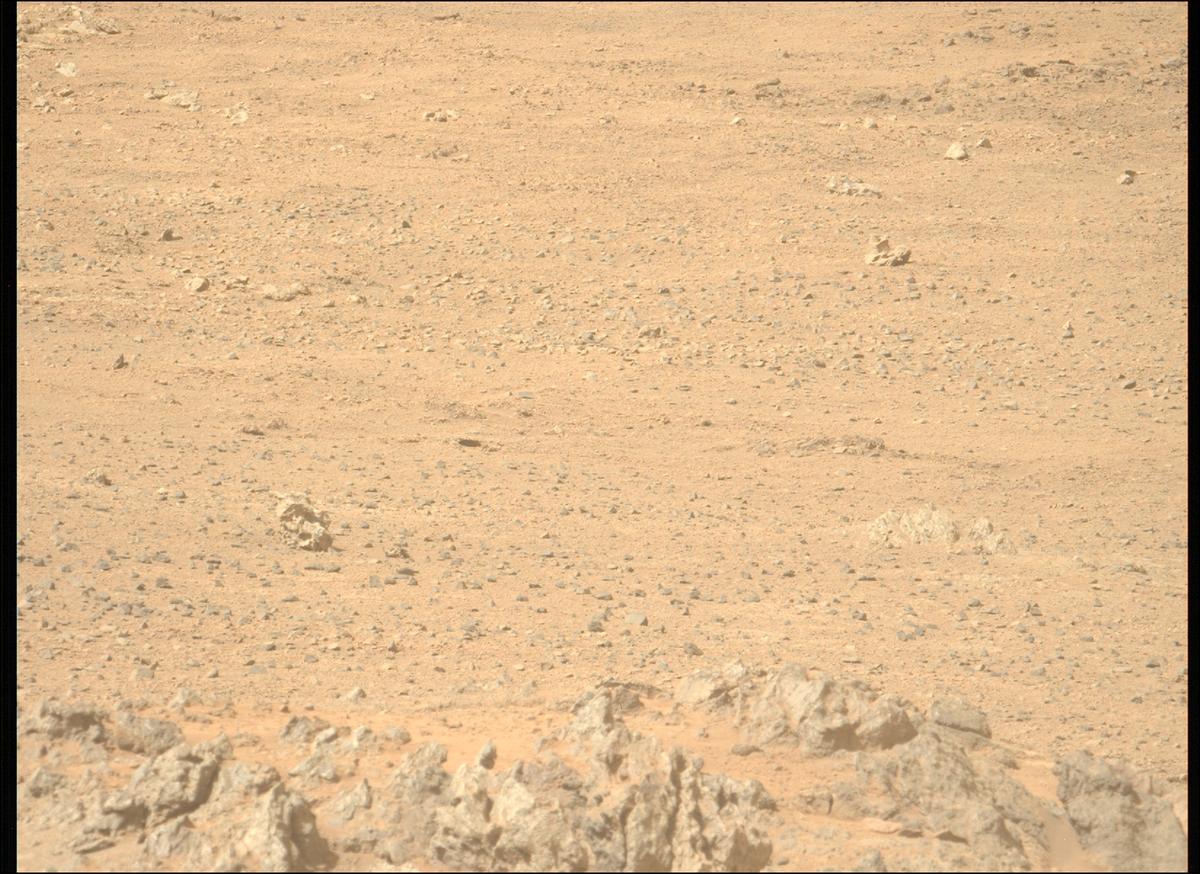 This image was taken by MCZ_LEFT onboard NASA's Mars rover Perseverance on Sol 1306