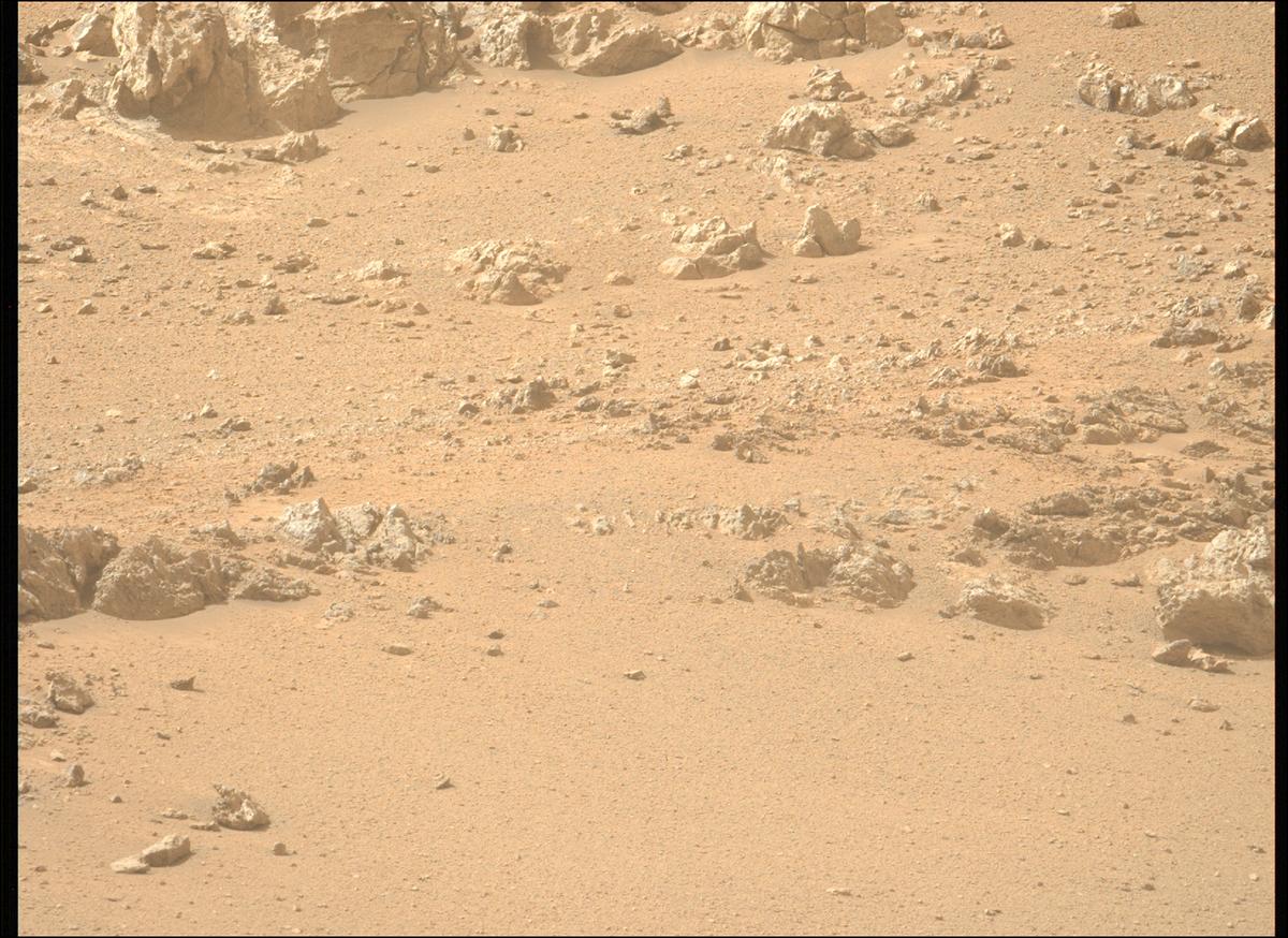This image was taken by MCZ_LEFT onboard NASA's Mars rover Perseverance on Sol 1306