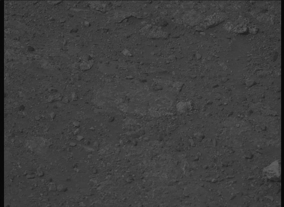 This image was taken by MCZ_LEFT onboard NASA's Mars rover Perseverance on Sol 1306