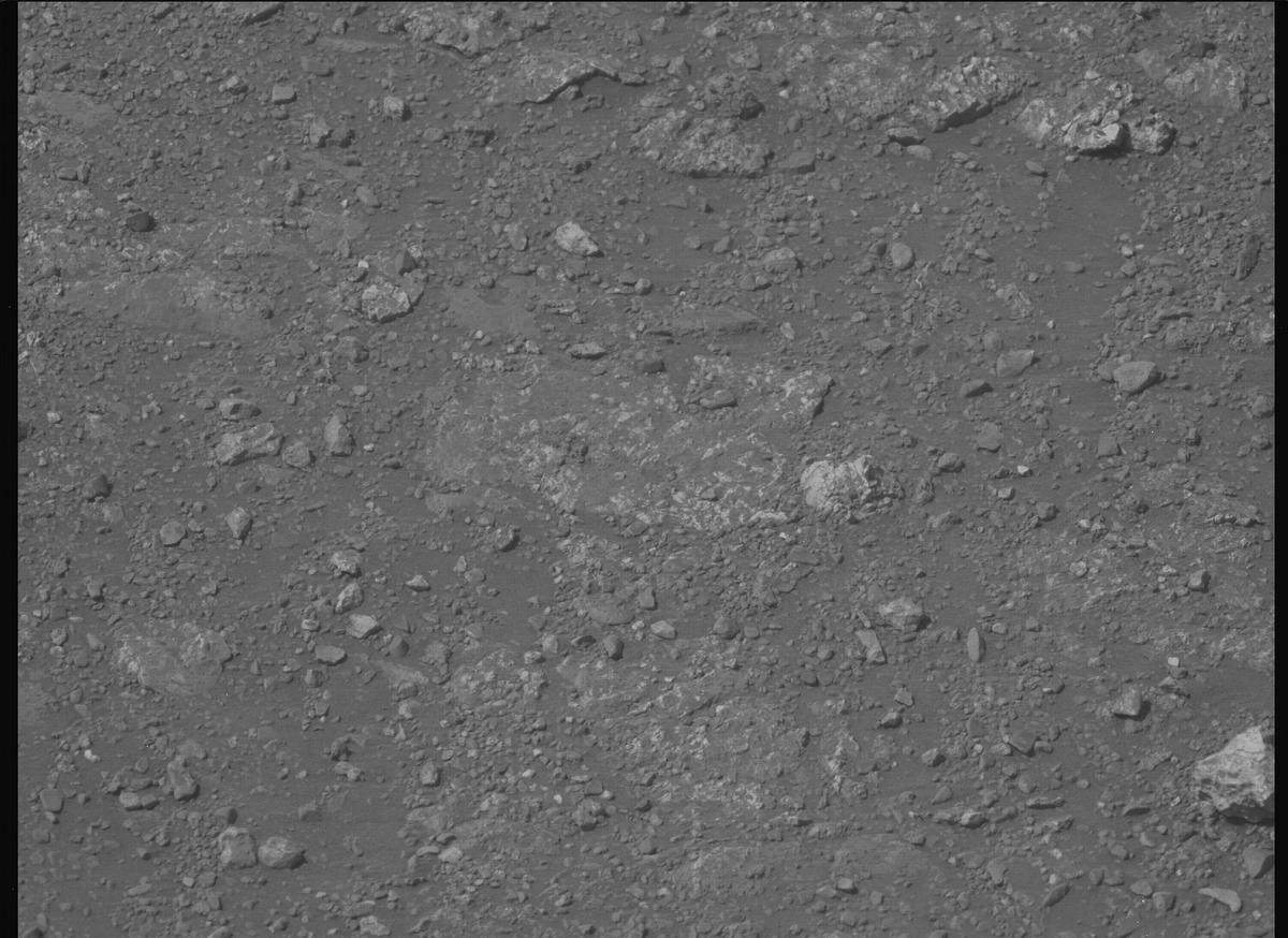 This image was taken by MCZ_LEFT onboard NASA's Mars rover Perseverance on Sol 1306