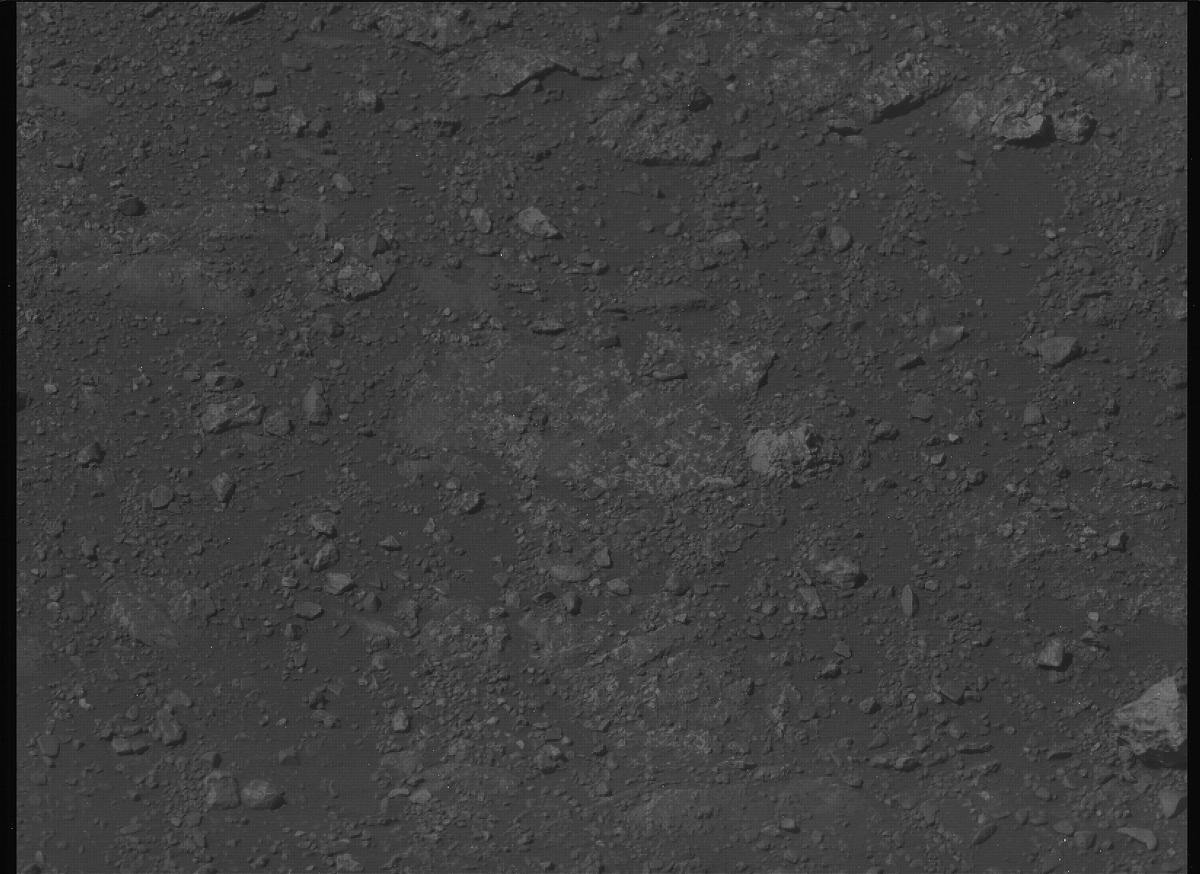 This image was taken by MCZ_LEFT onboard NASA's Mars rover Perseverance on Sol 1306