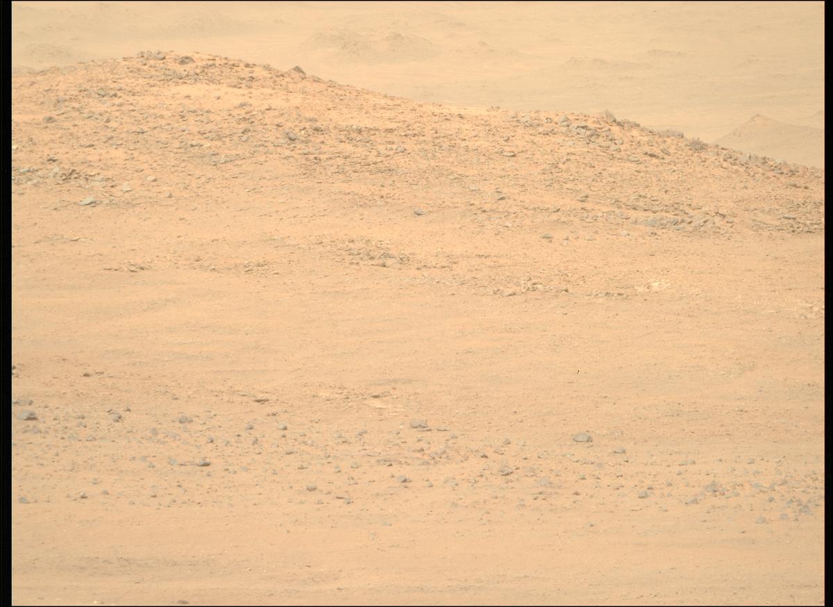 This image was taken by MCZ_RIGHT onboard NASA's Mars rover Perseverance on Sol 1306