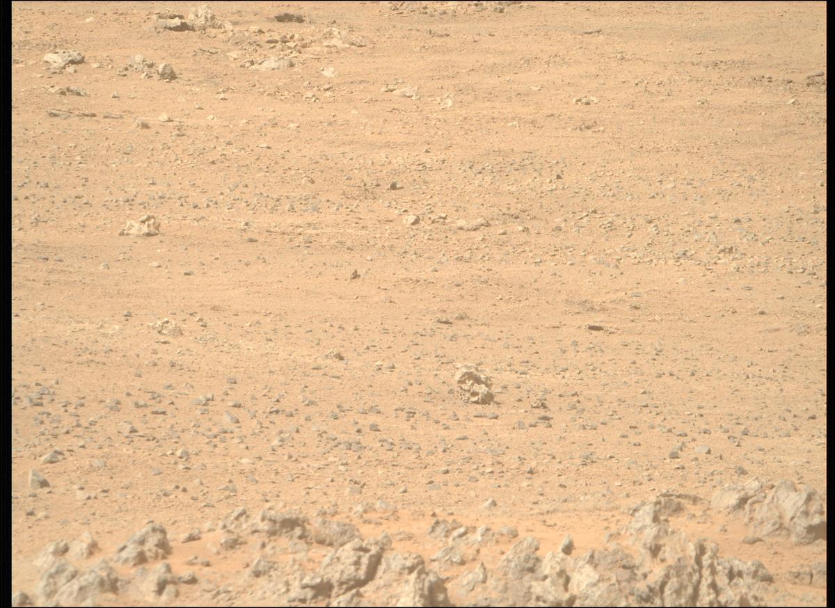 This image was taken by MCZ_RIGHT onboard NASA's Mars rover Perseverance on Sol 1306